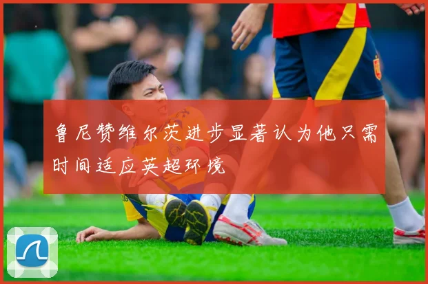 鲁尼赞维尔茨进步显著认为他只需时间适应英超环境