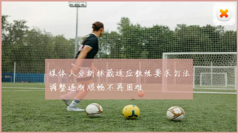 媒体人分析林葳适应教练要求打法调整逐渐顺畅不再困难