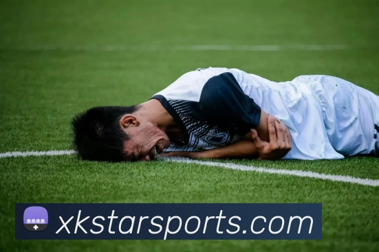 星空体育APP 封面图